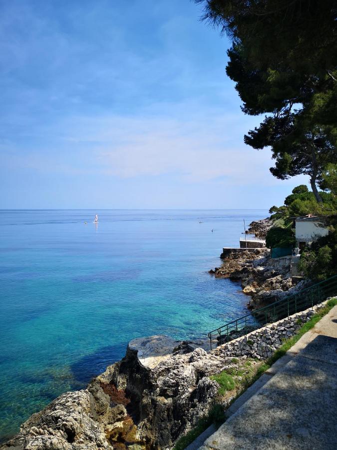 Apartment Chez Fifine Roquebrune-Cap-Martin
